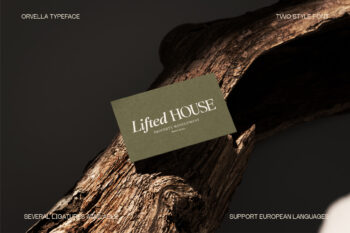 Editorial Serif Typeface