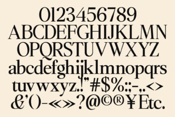 Editorial Serif Typeface