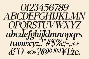 Editorial Serif Typeface