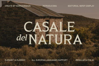 Elegant Editorial Serif Typeface