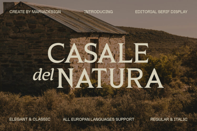 Elegant Editorial Serif Typeface