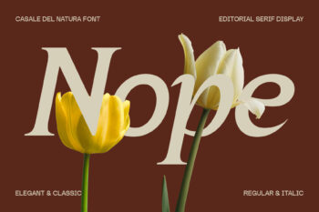 Elegant Editorial Serif Typeface