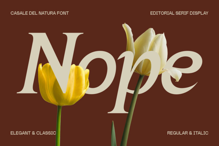 Elegant Editorial Serif Typeface