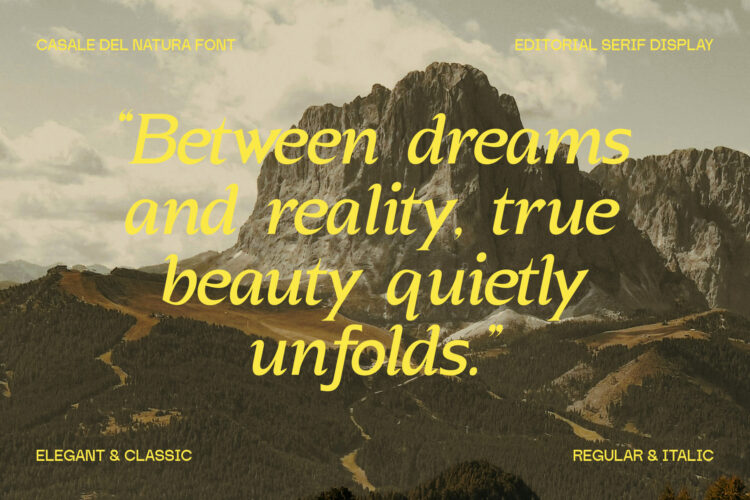 Elegant Editorial Serif Typeface