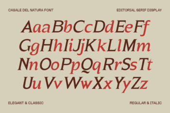 Elegant Editorial Serif Typeface