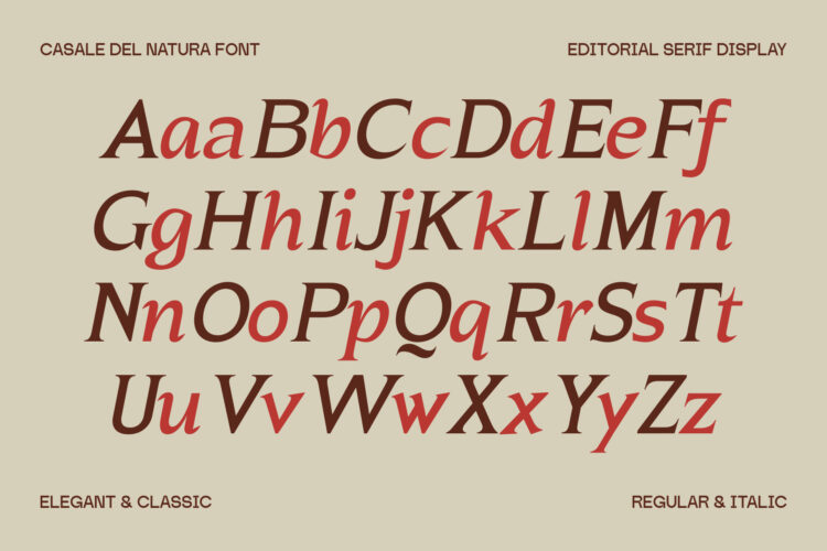 Elegant Editorial Serif Typeface