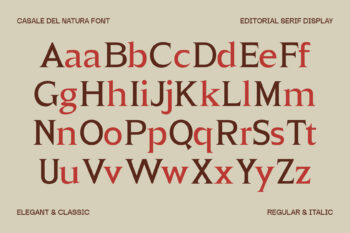 Elegant Editorial Serif Typeface