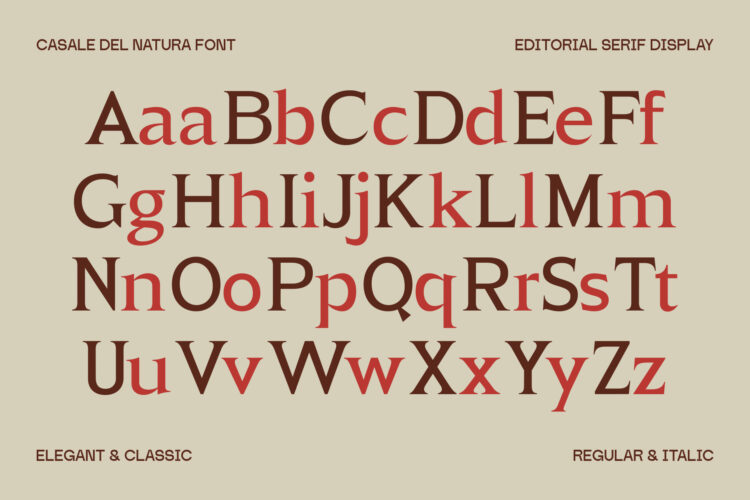 Elegant Editorial Serif Typeface