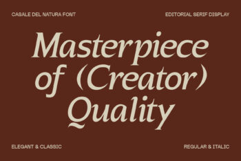 Elegant Editorial Serif Typeface