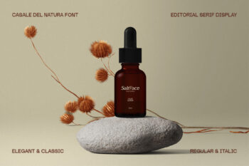 Elegant Editorial Serif Typeface