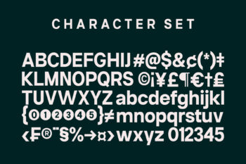 Contemporary Geometric Sans Serif Typeface