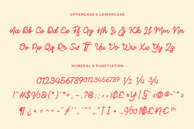 Modern Monoline Handwritten Typeface