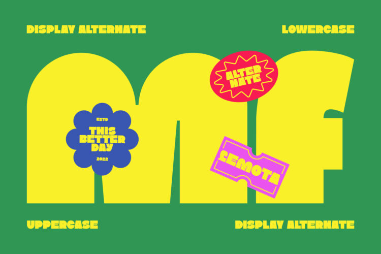 Bold Expressive Display Typeface