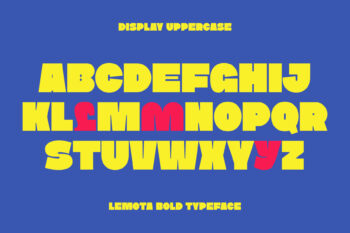 Bold Expressive Display Typeface