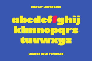 Bold Expressive Display Typeface