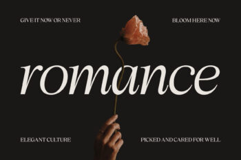 Elegant Family Serif Typeface