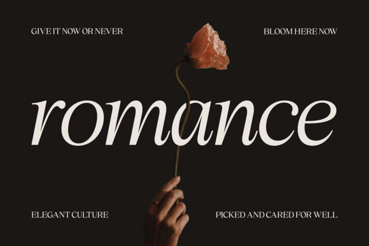 Elegant Family Serif Typeface