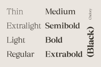 Elegant Family Serif Typeface