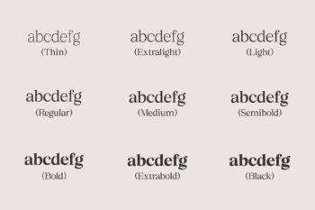 Elegant Family Serif Typeface