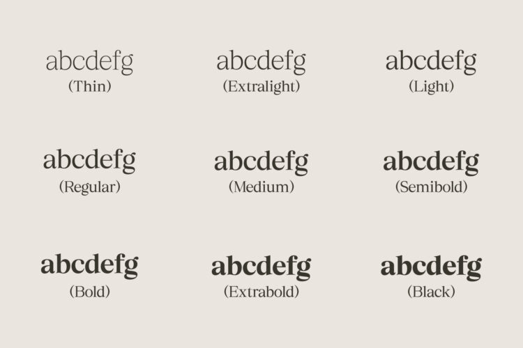 Elegant Family Serif Typeface