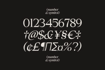 Elegant Family Serif Typeface