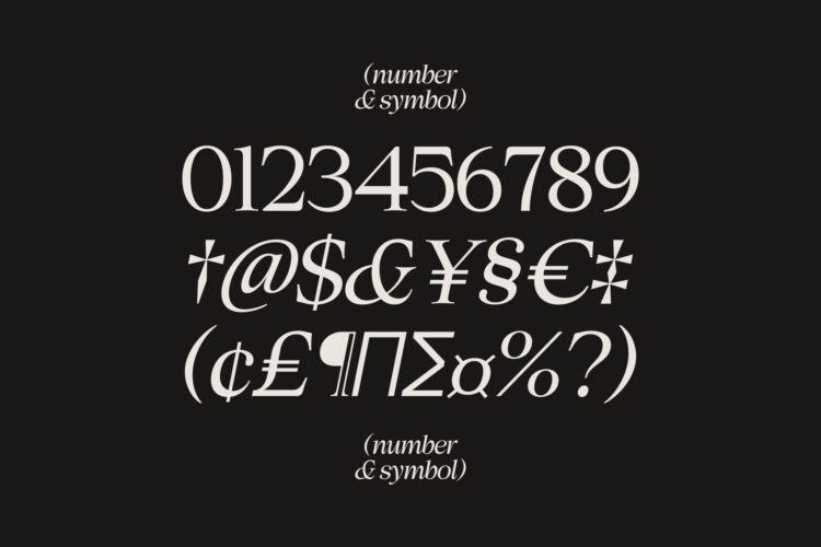 Elegant Family Serif Typeface