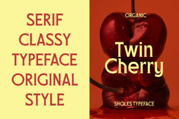 Classy Serif Display Typeface