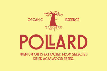 Classy Serif Display Typeface