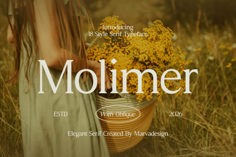 Elegant Family Serif