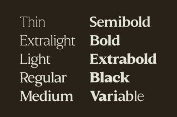 Elegant Family Serif