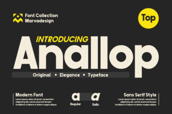 Modern Sans Serif Typeface